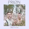 Prion - Bwthyn - Single